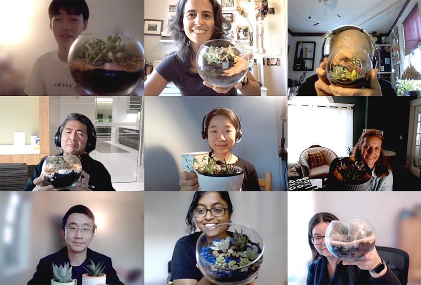 Screen capture from video call with nine UX team members holding the terraria they designed