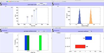 Data view showing mixture peaks at a locus. 