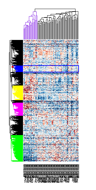 Working with the Clustergram Function