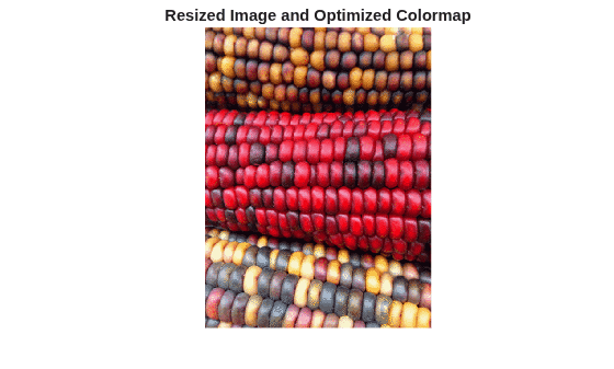 Figure contains an axes object. The hidden axes object with title Resized Image and Optimized Colormap contains an object of type image.
