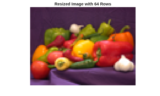 Figure contains an axes object. The hidden axes object with title Resized Image with 64 Rows contains an object of type image.