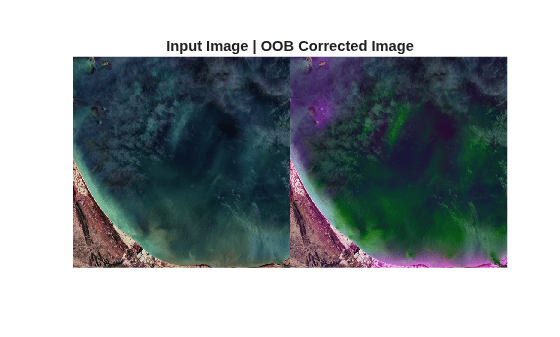 Figure contains an axes object. The hidden axes object with title Input Image | OOB Corrected Image contains an object of type image.