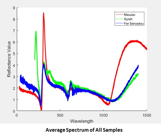 Predict Sugar Content in Grape Berries Using PLS Regression on Hyperspectral Data
