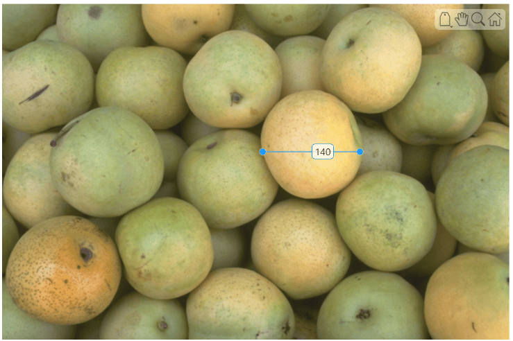 Pears image with a line ROI with a numeric label across one object