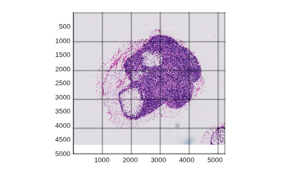 Figure contains an axes object. The axes object contains an object of type bigimageshow.