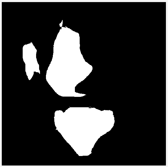 The binary mask now appears completely segmented, without the small holes.
