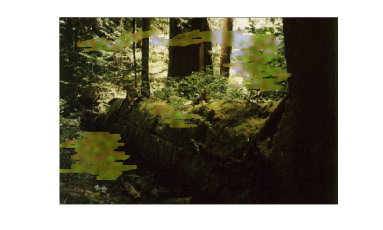Figure contains an axes object. The hidden axes object contains an object of type image.