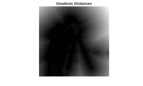 Figure contains an axes object. The hidden axes object with title Geodesic Distances contains an object of type image.