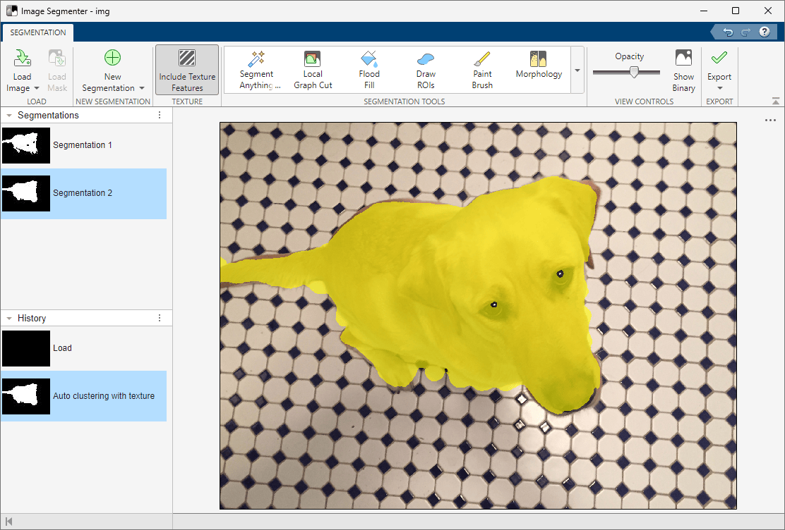 Correct segmentation after including texture features with Auto Cluster