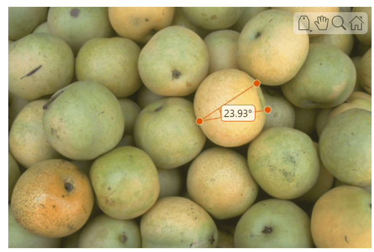 Pears image with an angle ROI with a numeric label over one object