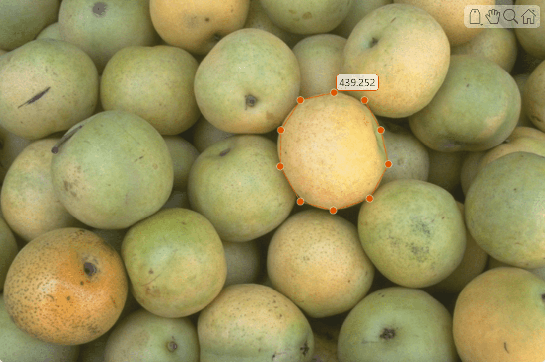 Pears image with one polyline ROI with a numeric label around one pear