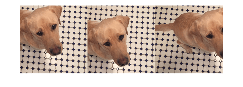 Figure contains an axes object. The hidden axes object contains an object of type image.