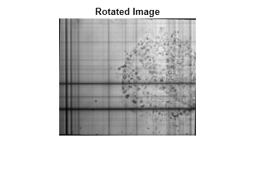 Figure contains an axes object. The hidden axes object with title Rotated Image contains an object of type image.