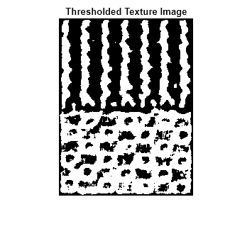 Figure contains an axes object. The hidden axes object with title Thresholded Texture Image contains an object of type image.