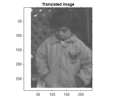 Figure contains an axes object. The axes object with title Translated Image contains an object of type image.