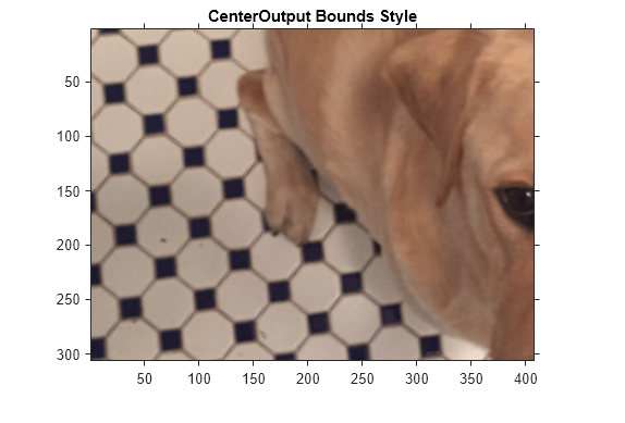 Figure contains an axes object. The axes object with title CenterOutput Bounds Style contains an object of type image.