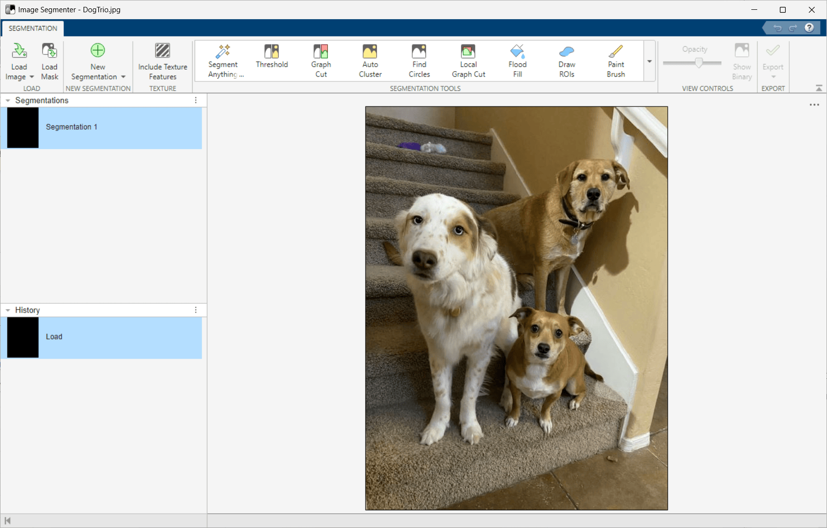 A screenshot of the Image Segmenter app and the user has loaded a photo of three dogs on a staircase.