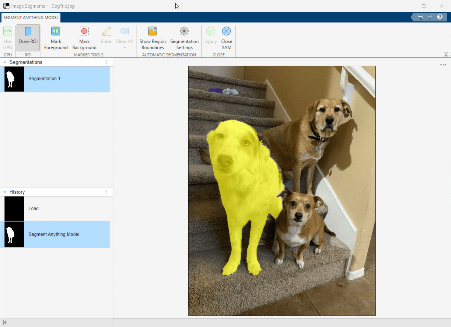 The dog at the left is filled in with yellow highlighting the segmented area.