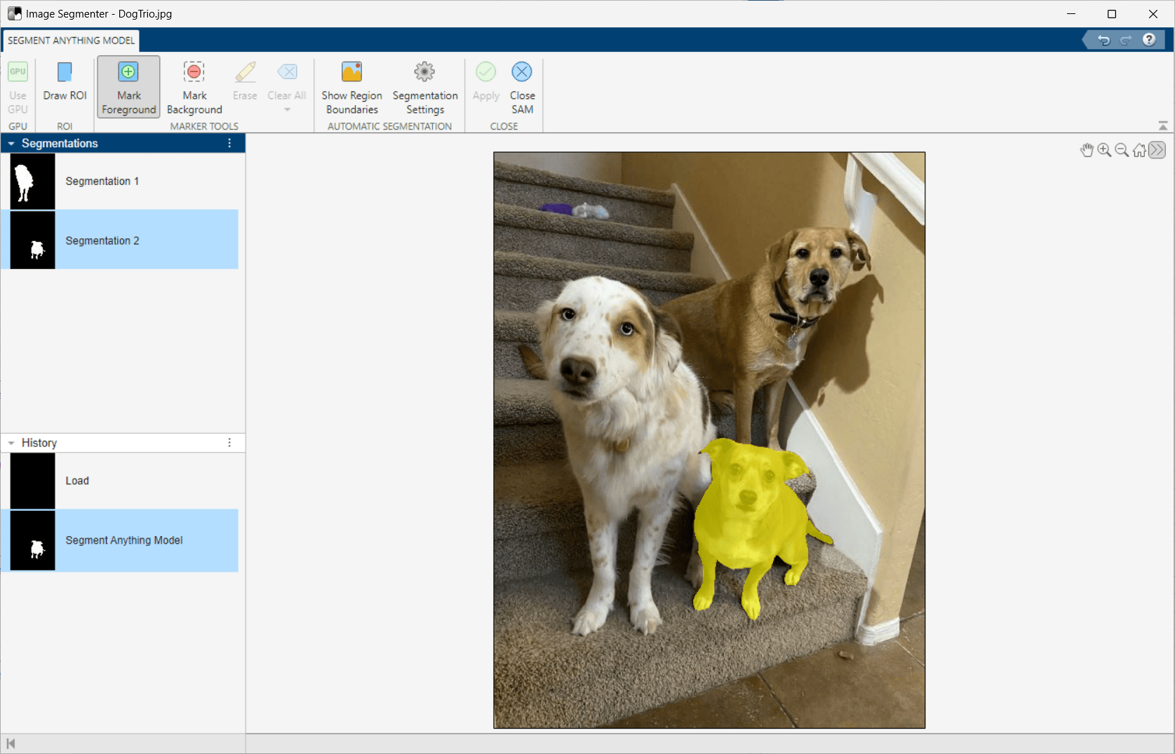 The small dog in the middle is filled in with yellow highlighting the segmented area.