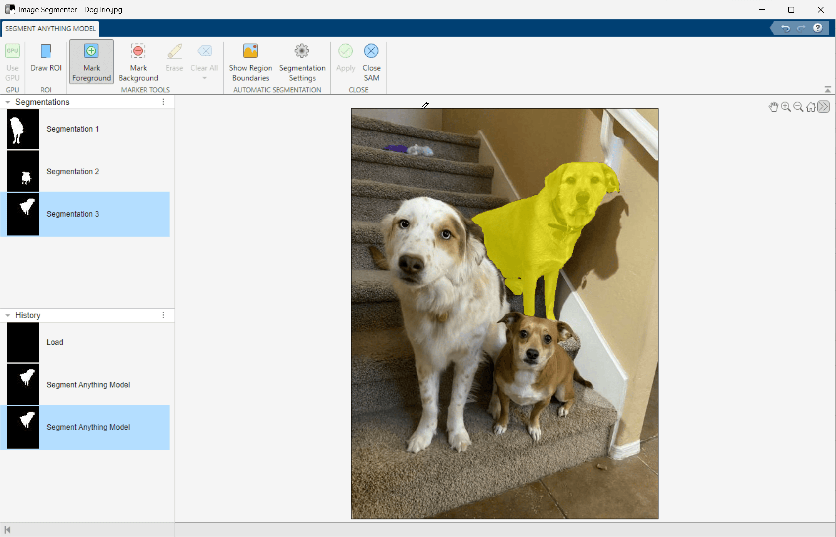 The dog at the right of the photograph is filled in with yellow highlighting the segmented area.