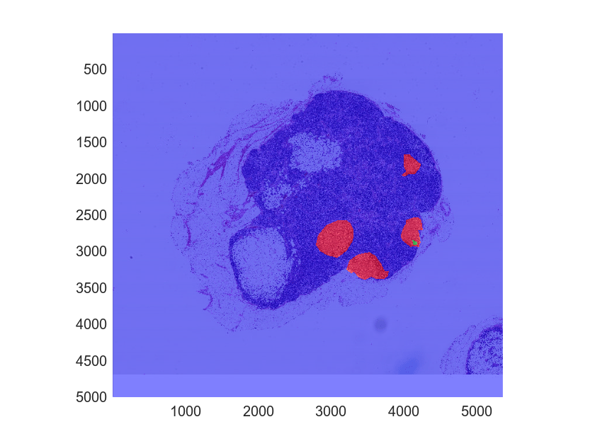 Convert Image Labeler Polygons to Labeled Blocked Image for Semantic Segmentation