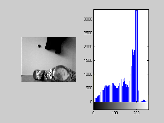 Video Display with Live Histogram