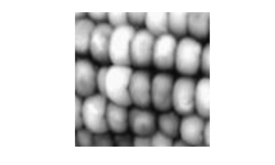 Figure contains an axes object. The hidden axes object contains an object of type image.