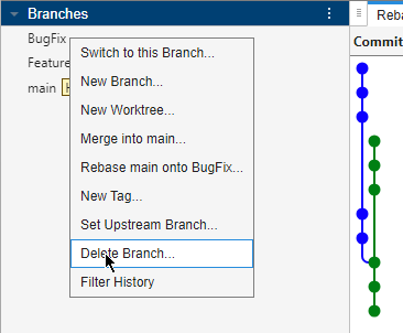 The Branches pane shows the list of branches. The cursor points to the Delete Branch option in the context menu.