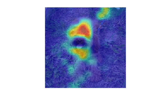 Figure contains an axes object. The hidden axes object contains 2 objects of type image.