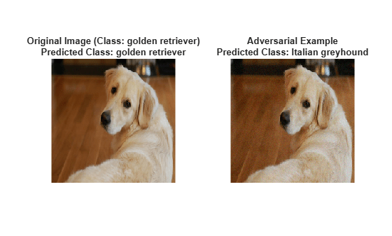 Figure contains 2 axes objects. Hidden axes object 1 with title Original Image (Class: golden retriever) Predicted Class: golden retriever contains an object of type image. Hidden axes object 2 with title Adversarial Example Predicted Class: Italian greyhound contains an object of type image.
