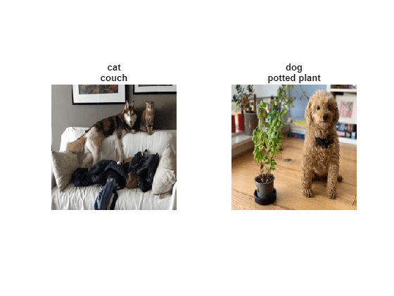 Multilabel Image Classification Using Deep Learning