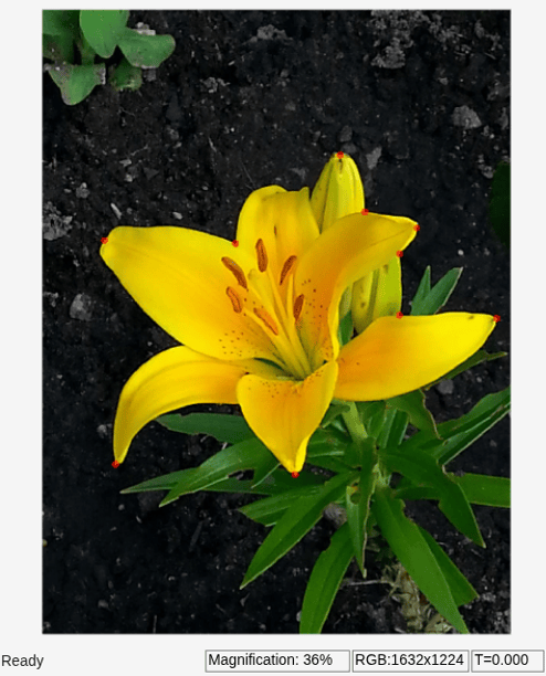 Detect Corners in Image