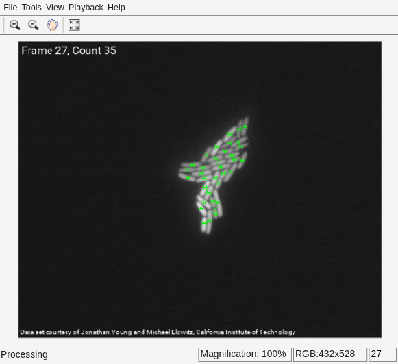 Figure Movie Player contains an axes object and other objects of type uiflowcontainer, uimenu, uitoolbar. The hidden axes object contains an object of type image.