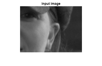 Figure contains an axes object. The hidden axes object with title Input Image contains an object of type image.