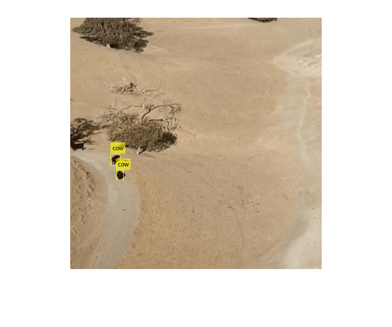 Detect Small Objects Using Tiled Training of YOLOX Network