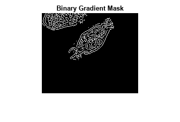 Figure contains an axes object. The axes object with title Binary Gradient Mask contains an object of type image.