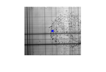 Figure contains an axes object. The hidden axes object contains 2 objects of type image, scatter.