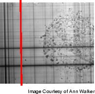 Image that includes horizontal and vertical line features, with one vertical line highlighted in red