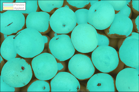 Preview of segmented pears using global thresholding.