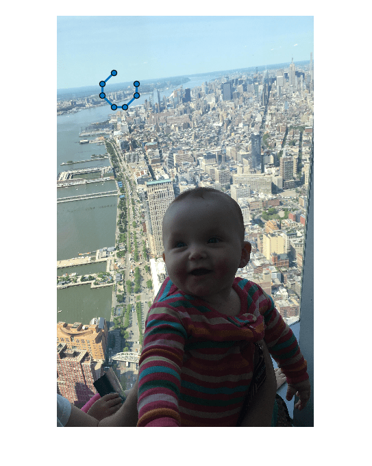 Figure contains an axes object. The hidden axes object contains 2 objects of type image, images.roi.polyline.