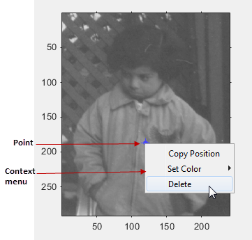 Blue point displayed over an image, with a context menu that gives options to copy the position, set the color, or delete the point.