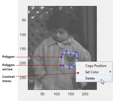 Blue polygon displayed over an image, with draggable vertices and a context menu that gives options to copy the position, set the color, or delete the polygon.