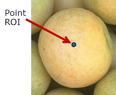 Blue Point ROI drawn near the center of an object in an image.