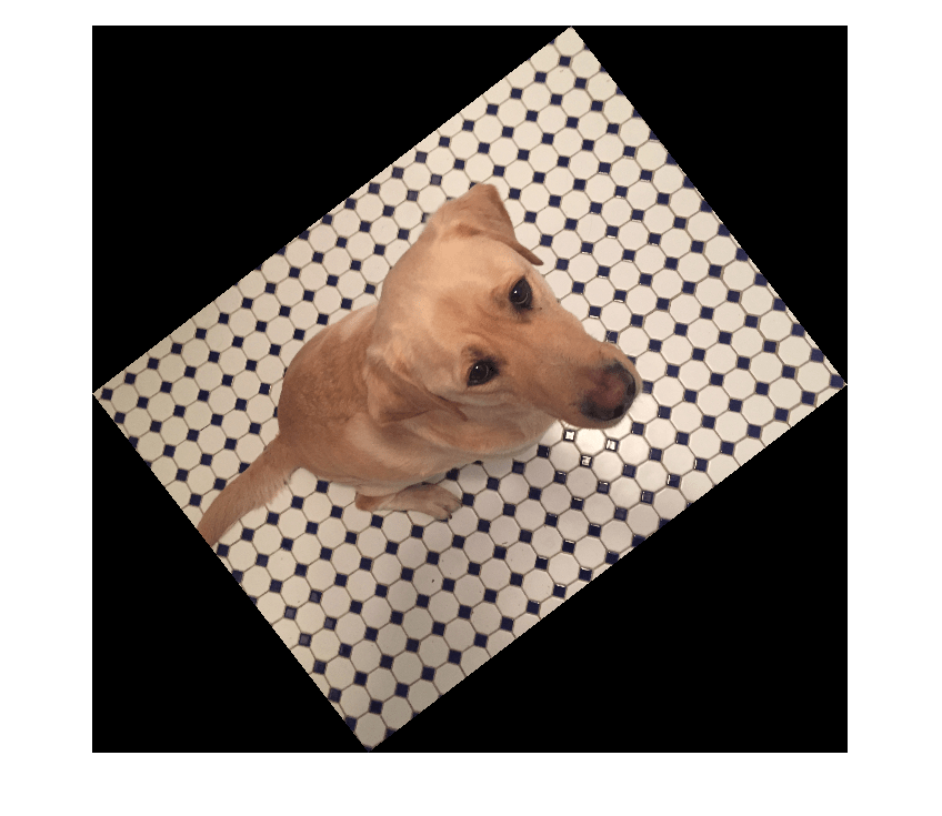 Figure contains an axes object. The hidden axes object contains an object of type image.