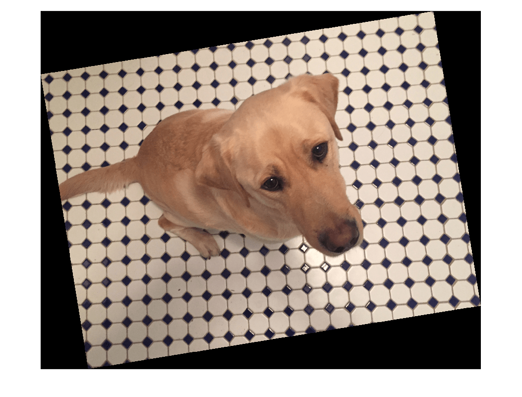 Figure contains an axes object. The hidden axes object contains an object of type image.