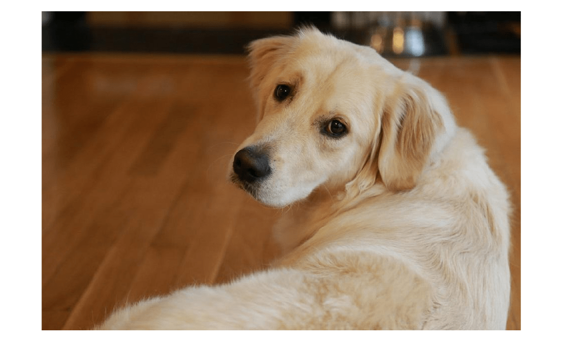 Figure contains an axes object. The hidden axes object contains an object of type image.