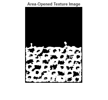 Figure contains an axes object. The hidden axes object with title Area-Opened Texture Image contains an object of type image.
