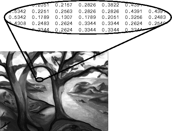 Grayscale image and inset showing the pixel values for a selected region