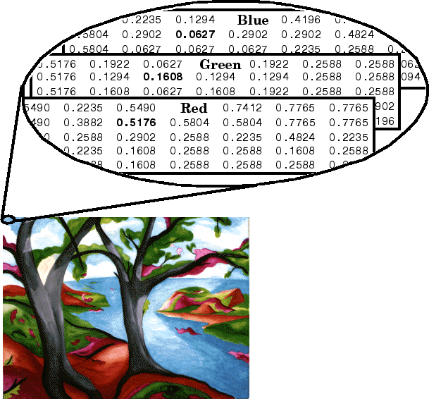 RGB color image and inset showing the red, green, and blue pixel values for a selected region