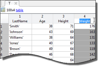 Variables editor, table view, with fourth column selected to be renamed